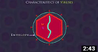 Enzyme Animation