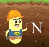 Nitrogen Cycle Interactive and Video