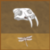 Fossil Dig pic