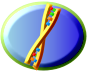 DNA button