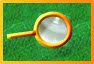 magnifying glass